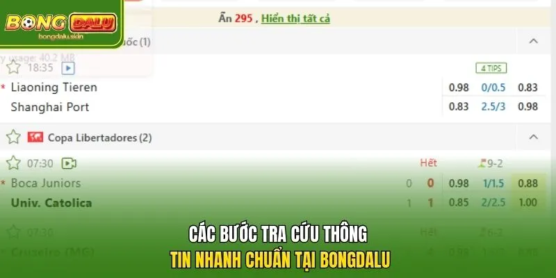 Các bước tra cứu thông tin nhanh chuẩn tại Bongdalu